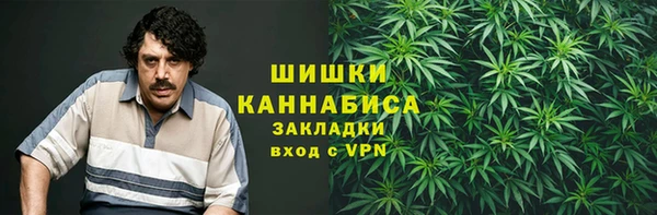 хмурый Нея