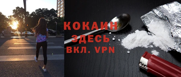 хмурый Нея