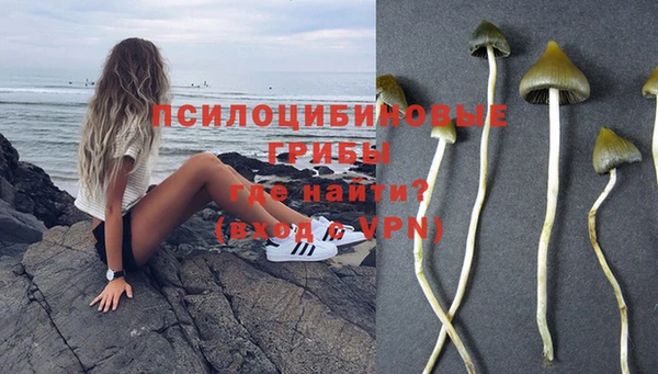 круглые Нефтекумск