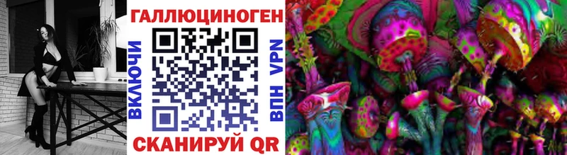 где купить наркоту  Спас-Деменск  Галлюциногенные грибы Psilocybine cubensis 